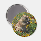 Praire Dog Magneet (Voorkant / Achterkant)