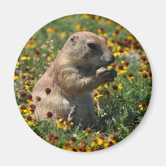 Praire Dog Magneet (Voorkant)