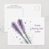 Prairie Blazing Star Briefkaart (Voorkant / Achterkant)