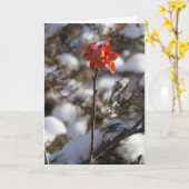 "Prairie Bloem" kerstkaart Kaart (Gele Bloem)