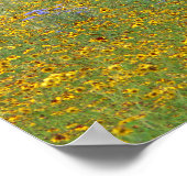 Prairie bloemen, Indiana Poster (Hoek)