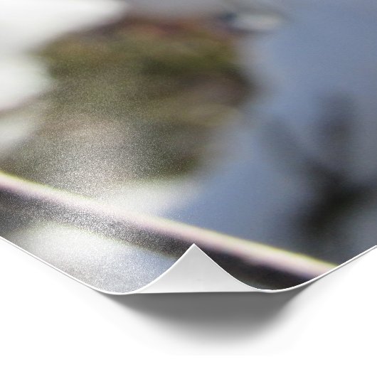 "Prairie Blossom" Foto Afdruk (Hoek)