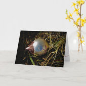 "Prairie Cheer" kerstkaart Kaart (Gele Bloem)