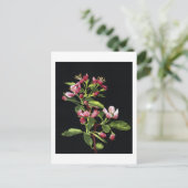 Prairie Crabapple Blossom Briefkaart (Staand voorkant)