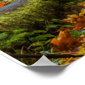 Prairie Creek Redwoods herfstkleuren Poster (Hoek)
