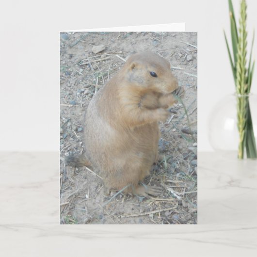 "Prairie Dog #1" Dank u kaart (Voorkant)