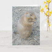 "Prairie Dog #1" Dank u kaart (Gele Bloem)