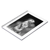 Prairie Dog#1-notebook Notitieboek (Linkerzijde)