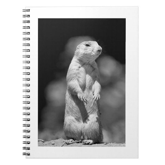 Prairie Dog#1-notebook Notitieboek (Voorkant)