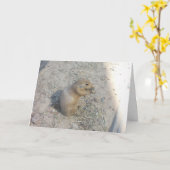 "Prairie Dog #2" Dankkaart Kaart (Gele Bloem)