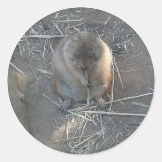Prairie Dog #2 Sticker (Voorkant)