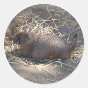Prairie Dog #3 Trekkers Ronde Sticker