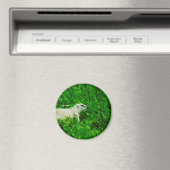 Prairie Dog Abstract Impressionisme Magneet (Insitu (Vaatwasser))