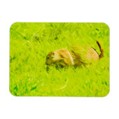 Prairie Dog Abstract Impressionisme Magneet (Horizontaal)