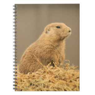 Prairie Dog Aint I Cute Notebook Notitieboek