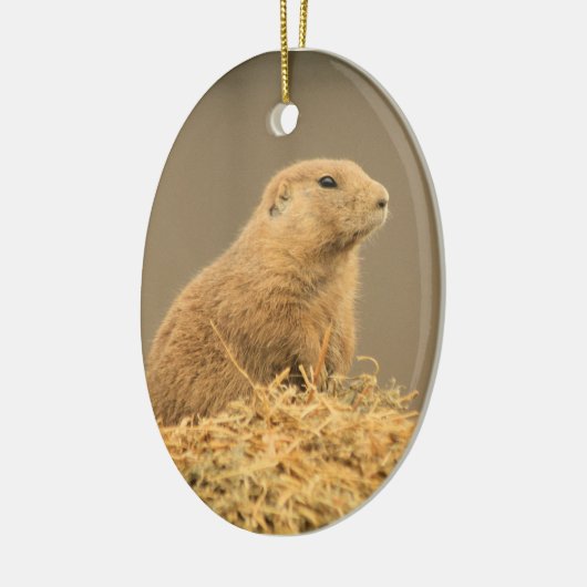 Prairie Dog Aint I Cute Ornament (Links)