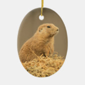 Prairie Dog Aint I Cute Ornament (Voorkant)