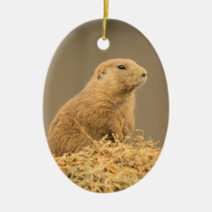 Prairie Dog Aint I Cute Ornament