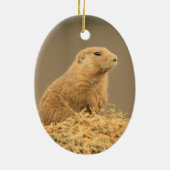 Prairie Dog Aint I Cute Ornament (Achterkant)