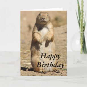 Prairie Dog Birthday Card Kaart