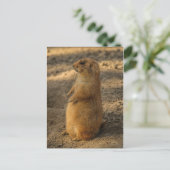 Prairie Dog Briefkaart (Staand voorkant)