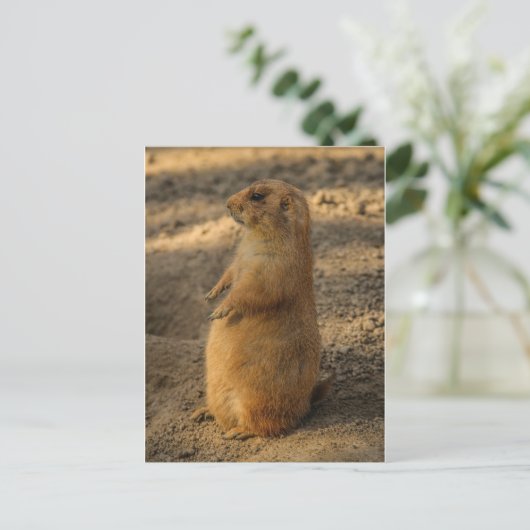 Prairie Dog Briefkaart (Staand voorkant)