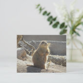 Prairie Dog Briefkaart (Staand voorkant)