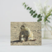 Prairie Dog Briefkaart (Staand voorkant)