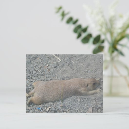 Prairie Dog Briefkaart (Staand voorkant)