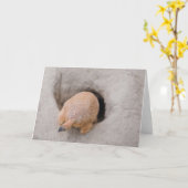 Prairie Dog Butt Kaart (Gele Bloem)