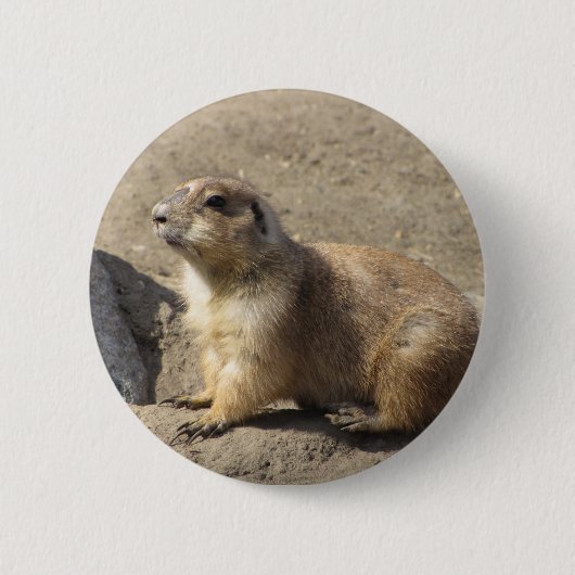 Prairie Dog Button (Voorkant)