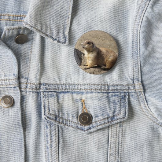 Prairie Dog Button (In situ)