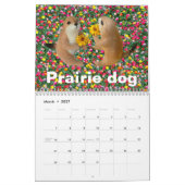 prairie dog , Calendar Kalender (Mar 2027)