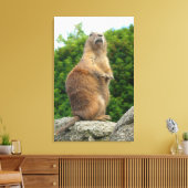 Prairie Dog Canvas Afdruk (Insitu (Woonkamer))