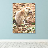 PRAIRIE DOG CANVAS AFDRUK (Insitu (Houten vloer))