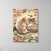 PRAIRIE DOG CANVAS AFDRUK (Voorkant)