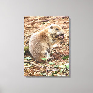 PRAIRIE DOG CANVAS AFDRUK