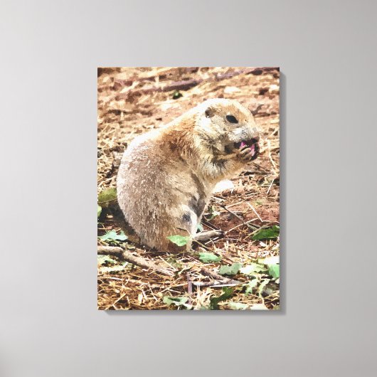 PRAIRIE DOG CANVAS AFDRUK (Voorkant)