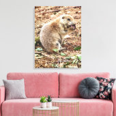 PRAIRIE DOG CANVAS AFDRUK (Insitu (Woonkamer))