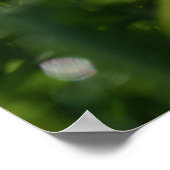 Prairie Dog en de Paarse Bloom Poster (Hoek)