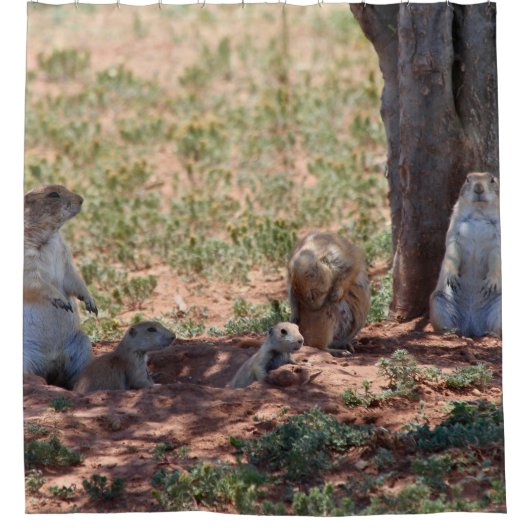 Prairie Dog Family Douchegordijn (Voorkant)