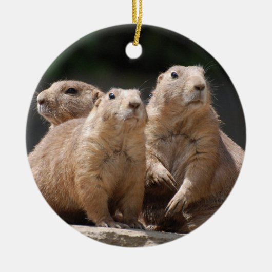Prairie Dog Family Keramisch Ornament (Voorkant)