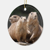 Prairie Dog Family Keramisch Ornament (Links)