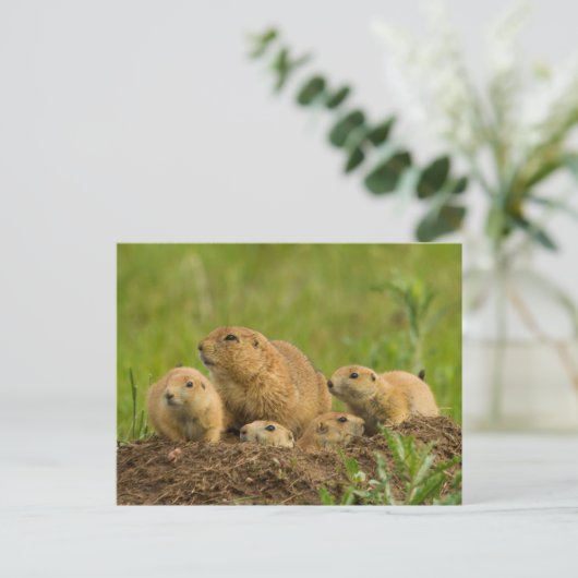 Prairie Dog Family on Den Briefkaart (Staand voorkant)