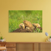 Prairie Dog Family on Den Canvas Afdruk (Insitu (Woonkamer))