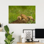 Prairie Dog Family on Den Poster (Thuiskantoor)