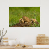Prairie Dog Family on Den Poster (Keuken)