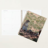 Prairie Dog Family Planner (Display)