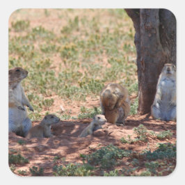 Prairie Dog Family Vierkante Sticker