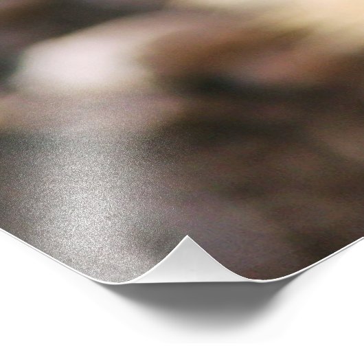 Prairie Dog Foto Afdruk (Hoek)